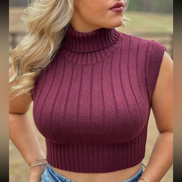 Burgundy Cropped Sweater - Picture 1 of 1